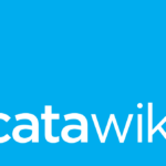 Het succes van Catawiki